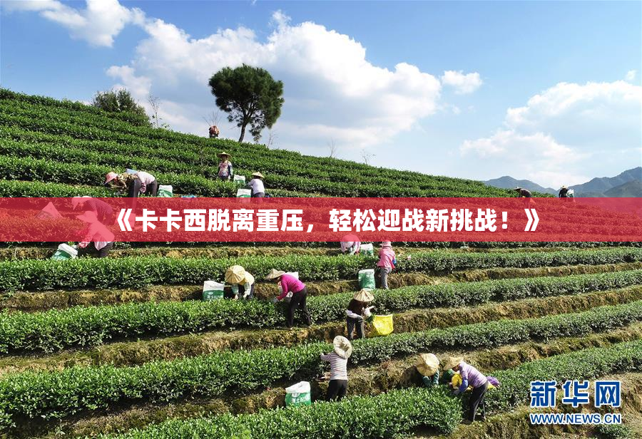 《卡卡西脱离重压，轻松迎战新挑战！》