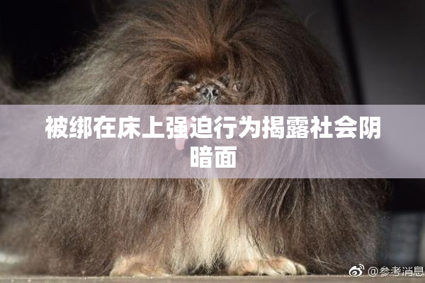 被绑在床上强迫行为揭露社会阴暗面