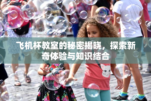 飞机杯教室的秘密揭晓，探索新奇体验与知识结合
