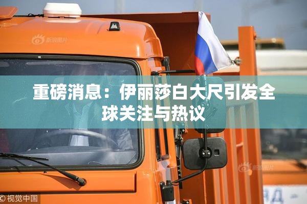 重磅消息：伊丽莎白大尺引发全球关注与热议