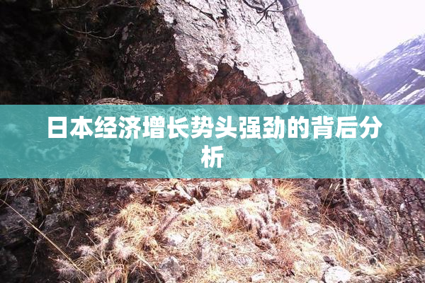 日本经济增长势头强劲的背后分析