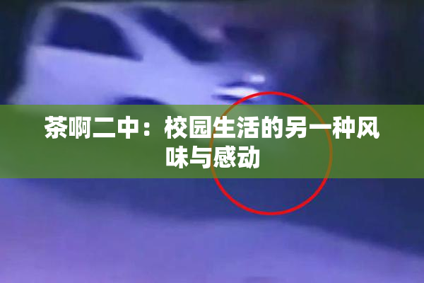 茶啊二中：校园生活的另一种风味与感动