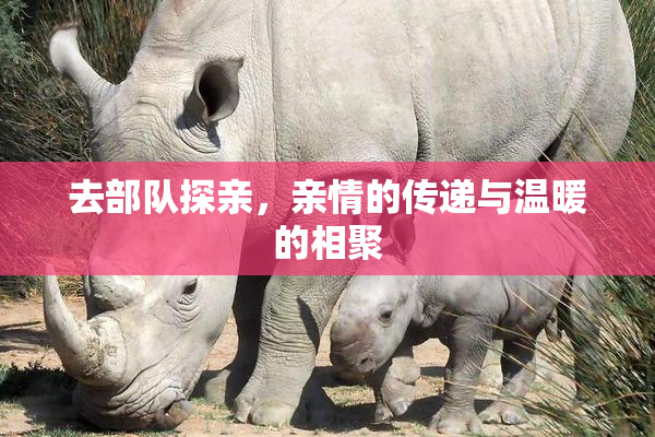 去部队探亲，亲情的传递与温暖的相聚