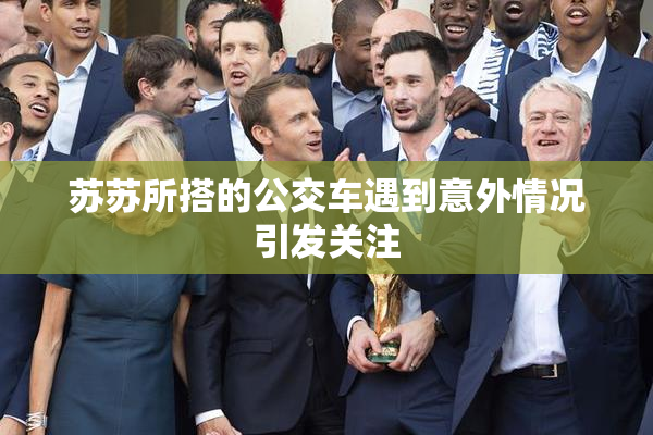苏苏所搭的公交车遇到意外情况引发关注