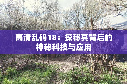 高清乱码18：探秘其背后的神秘科技与应用
