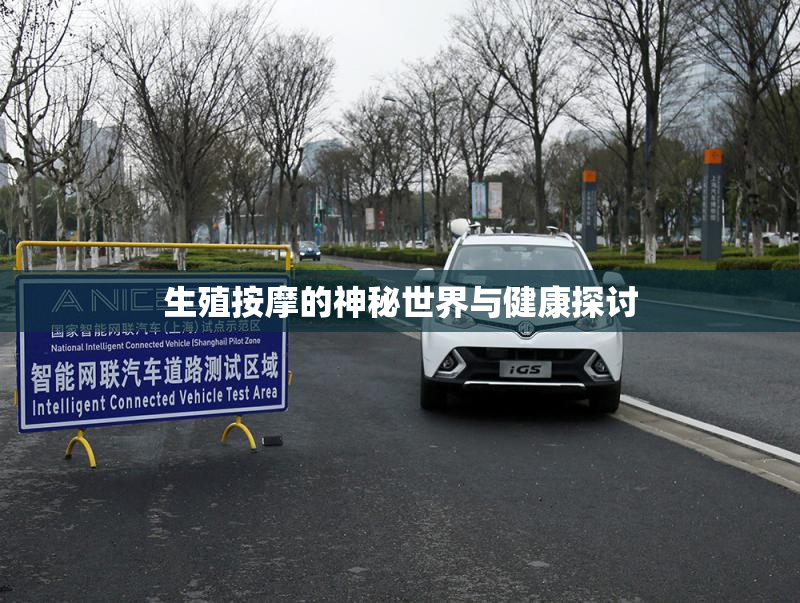 生殖按摩的神秘世界与健康探讨