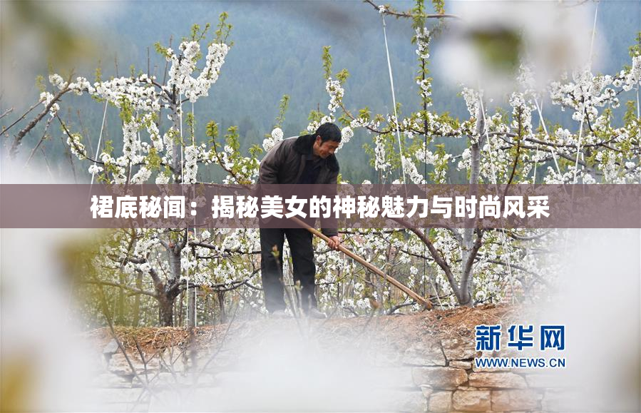 裙底秘闻：揭秘美女的神秘魅力与时尚风采