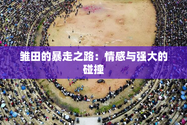 雏田的暴走之路：情感与强大的碰撞