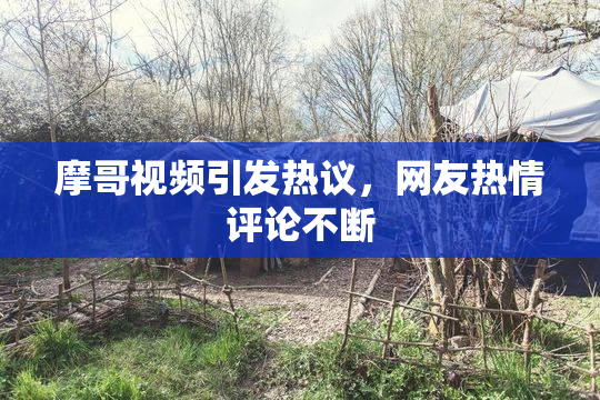 摩哥视频引发热议，网友热情评论不断