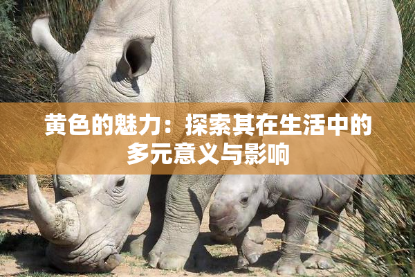 黄色的魅力：探索其在生活中的多元意义与影响