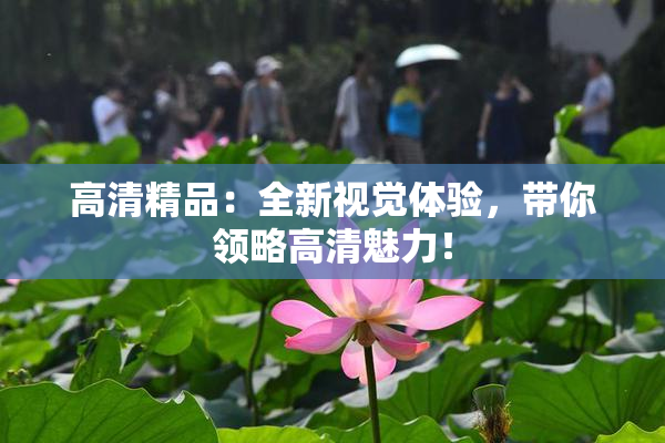 高清精品：全新视觉体验，带你领略高清魅力！
