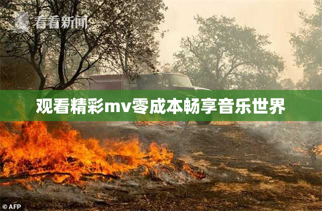 观看精彩mv零成本畅享音乐世界