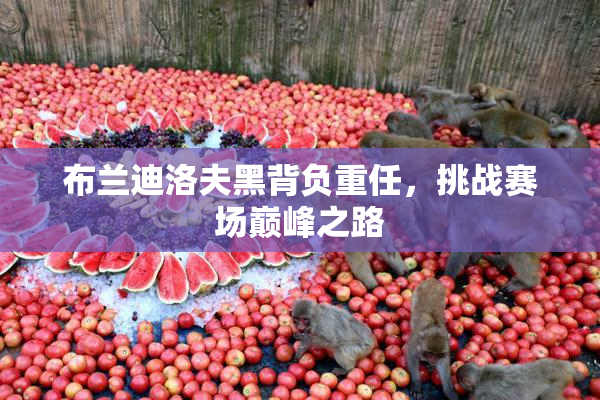 布兰迪洛夫黑背负重任，挑战赛场巅峰之路