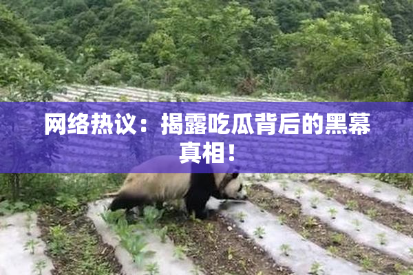 网络热议：揭露吃瓜背后的黑幕真相！