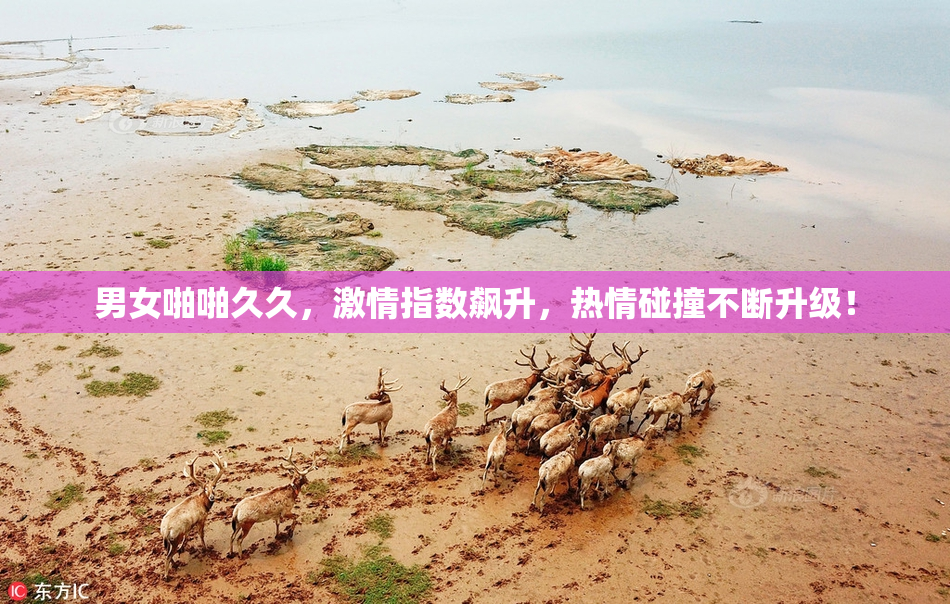 男女啪啪久久，激情指数飙升，热情碰撞不断升级！