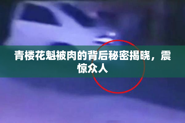 青楼花魁被肉的背后秘密揭晓，震惊众人