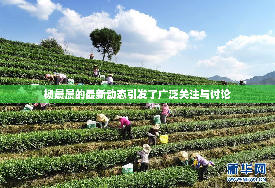 杨晨晨的最新动态引发了广泛关注与讨论