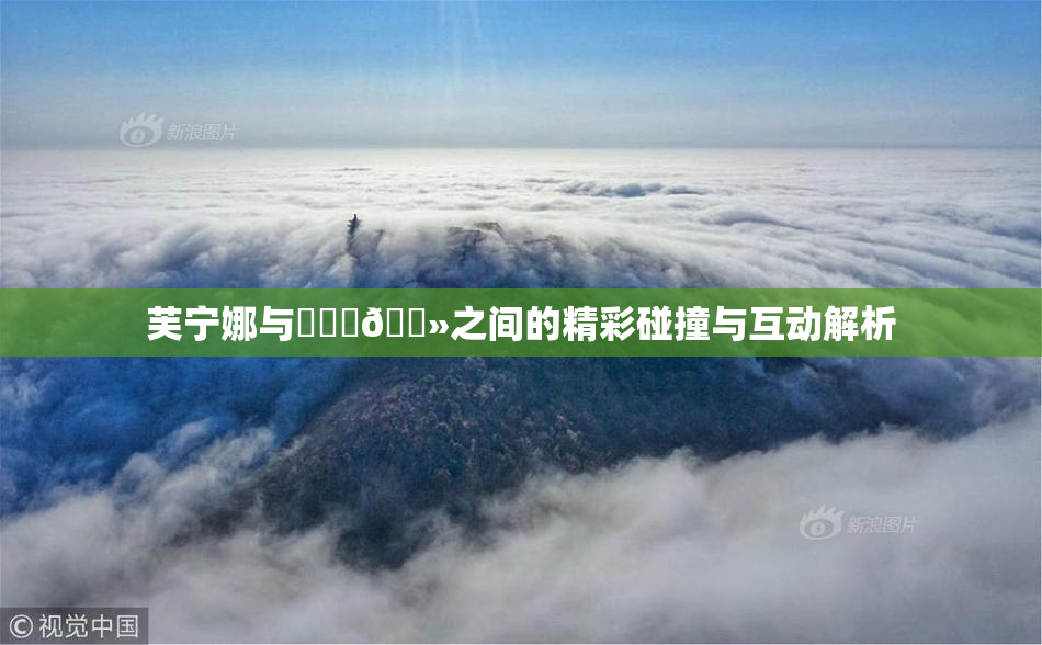 芙宁娜与❌‌‌🐻之间的精彩碰撞与互动解析