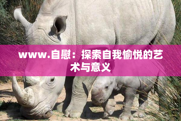 www.自慰：探索自我愉悦的艺术与意义