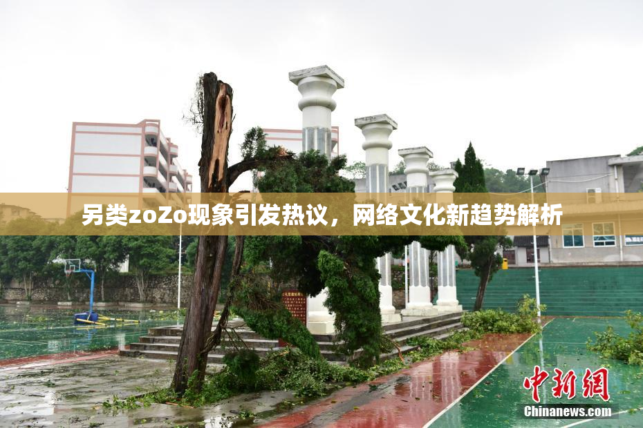 另类zoZo现象引发热议，网络文化新趋势解析