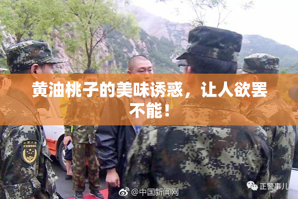 黄油桃子的美味诱惑，让人欲罢不能！