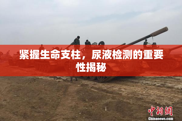 紧握生命支柱，尿液检测的重要性揭秘