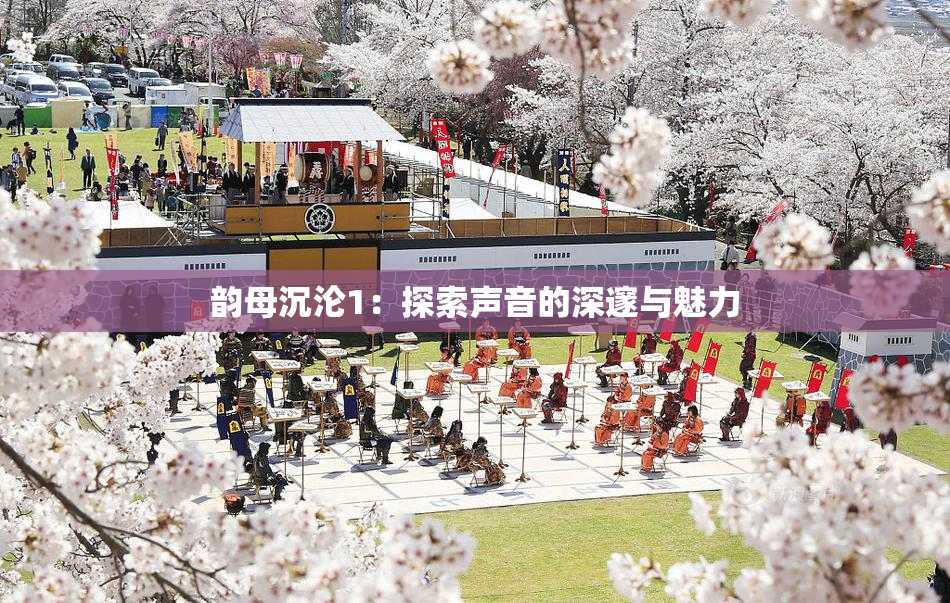 韵母沉沦1：探索声音的深邃与魅力