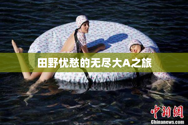 田野忧愁的无尽大A之旅