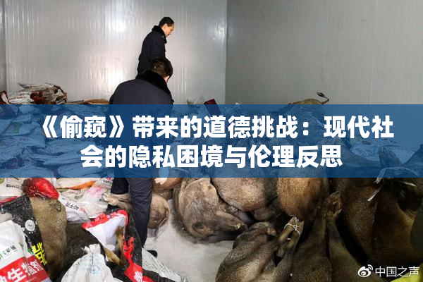 《偷窥》带来的道德挑战：现代社会的隐私困境与伦理反思