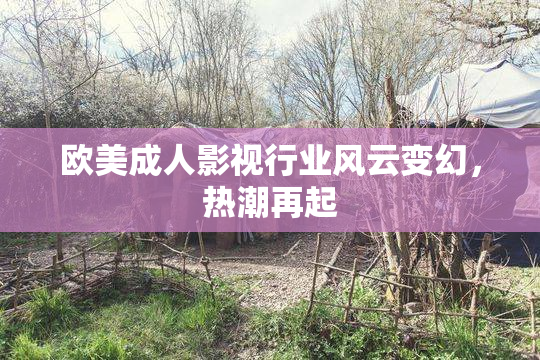 欧美成人影视行业风云变幻，热潮再起