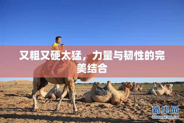 又粗又硬太猛，力量与韧性的完美结合