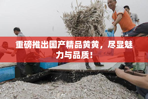 重磅推出国产精品黄黄，尽显魅力与品质！