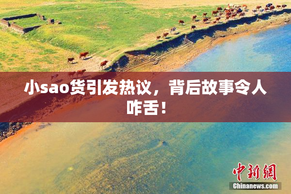 小sao货引发热议，背后故事令人咋舌！