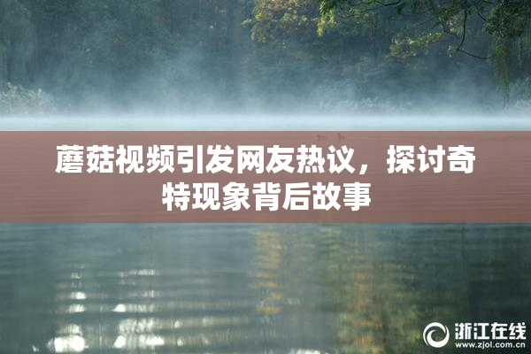 蘑菇视频引发网友热议，探讨奇特现象背后故事