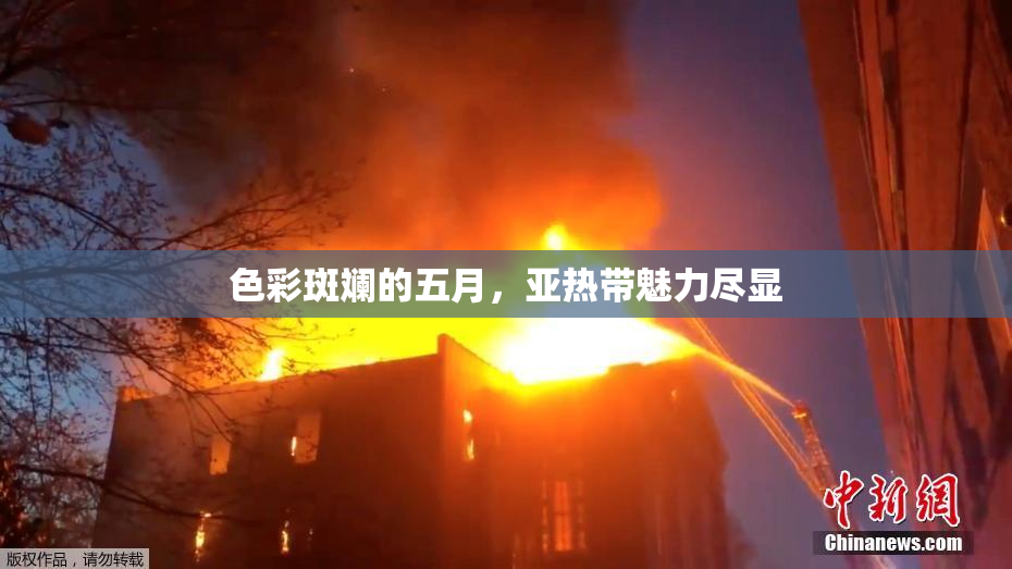 色彩斑斓的五月，亚热带魅力尽显