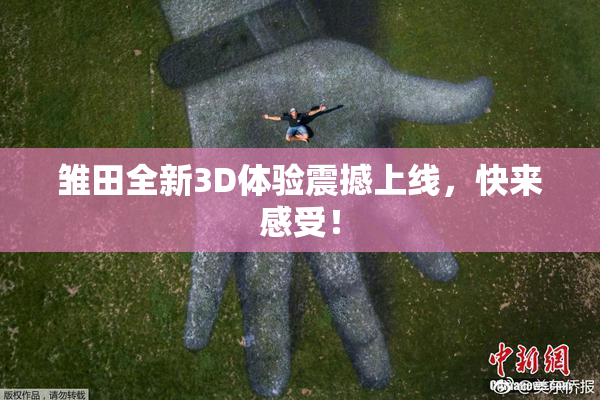 雏田全新3D体验震撼上线，快来感受！