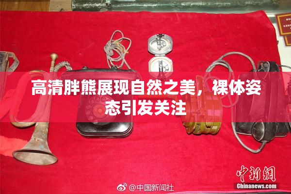 高清胖熊展现自然之美，裸体姿态引发关注