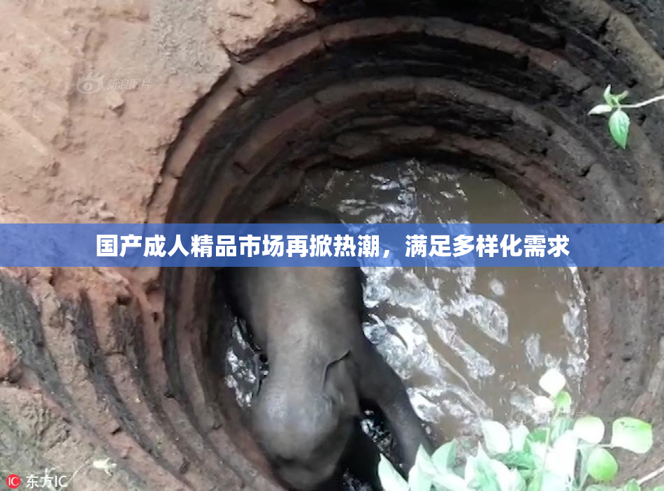 国产成人精品市场再掀热潮，满足多样化需求