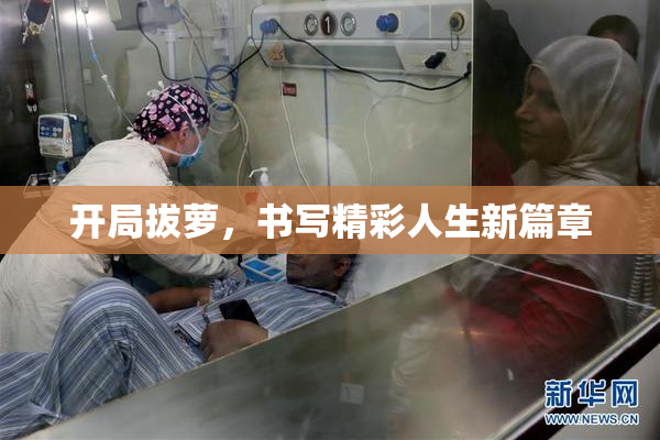 开局拔萝，书写精彩人生新篇章