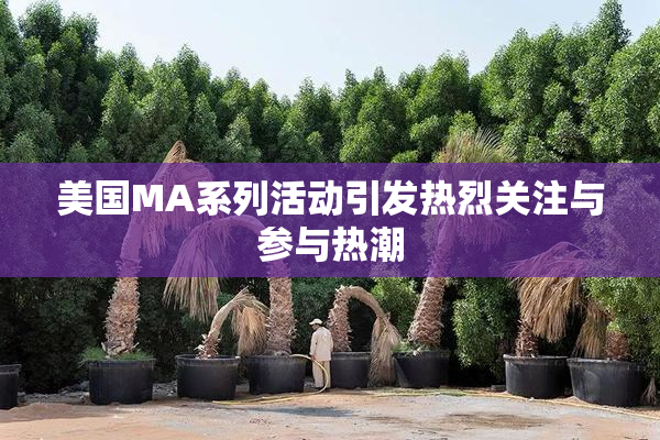 美国MA系列活动引发热烈关注与参与热潮