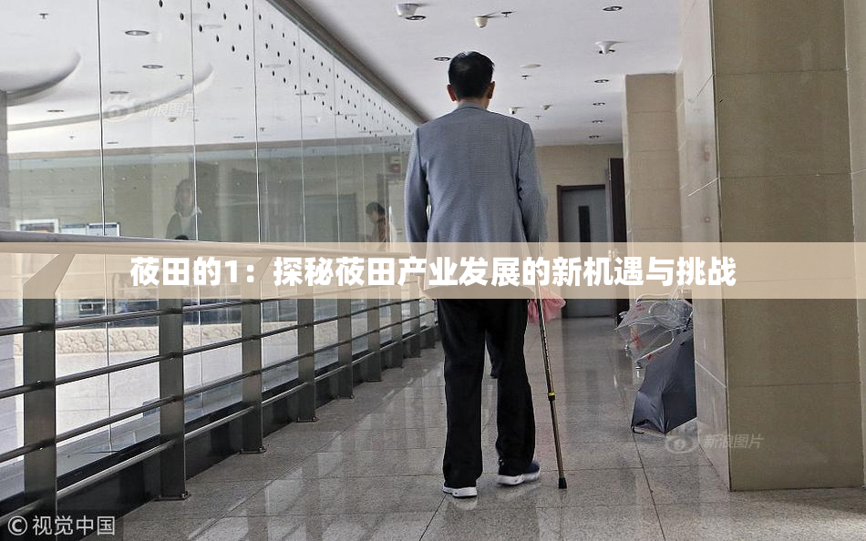 莜田的1：探秘莜田产业发展的新机遇与挑战