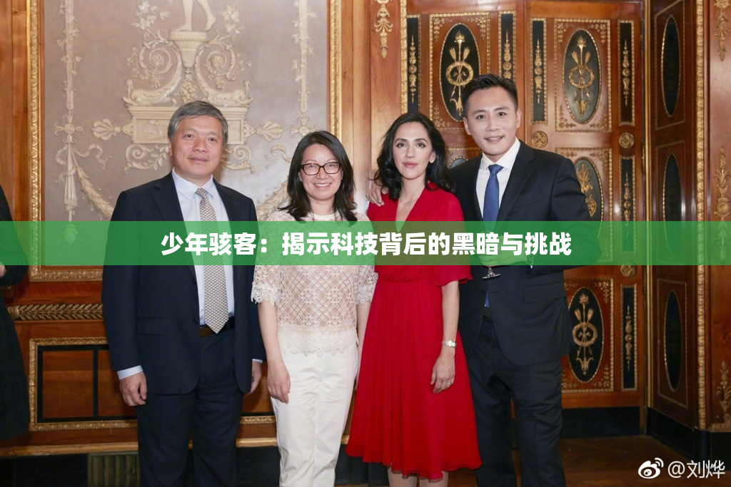少年骇客：揭示科技背后的黑暗与挑战
