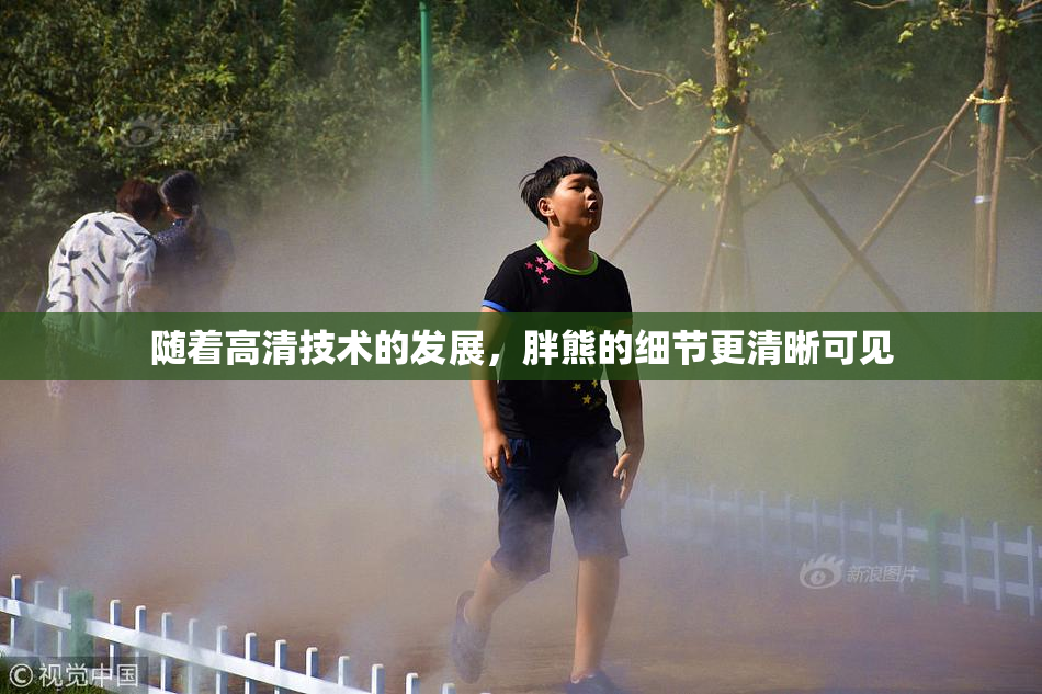 随着高清技术的发展，胖熊的细节更清晰可见