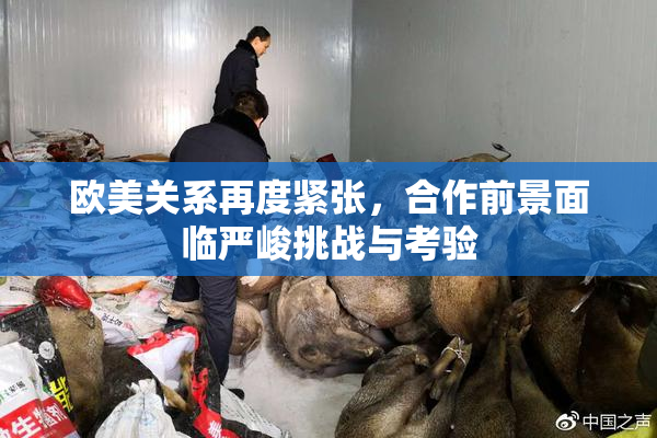 欧美关系再度紧张，合作前景面临严峻挑战与考验