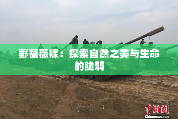 野蔷薇裸：探索自然之美与生命的脆弱