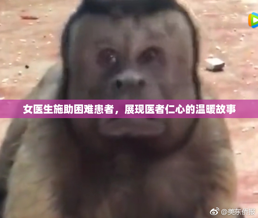 女医生施助困难患者，展现医者仁心的温暖故事