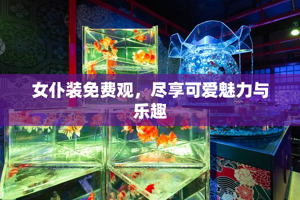 女仆装免费观，尽享可爱魅力与乐趣