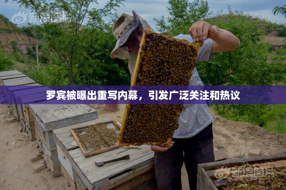 罗宾被曝出重写内幕，引发广泛关注和热议