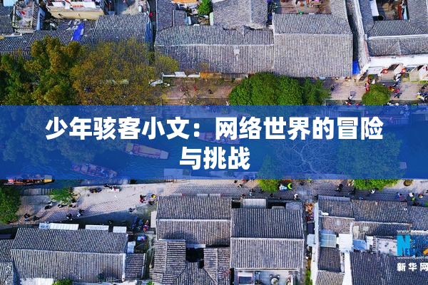少年骇客小文：网络世界的冒险与挑战
