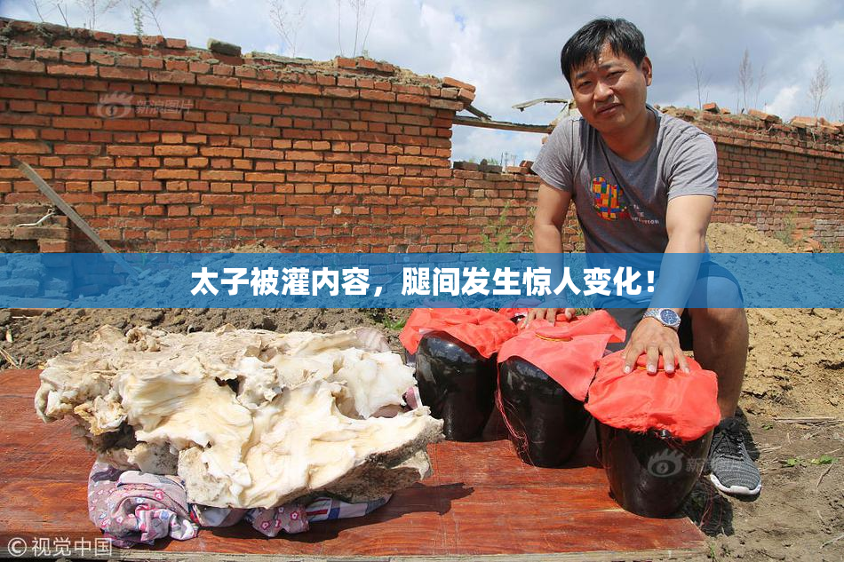 太子被灌内容，腿间发生惊人变化！